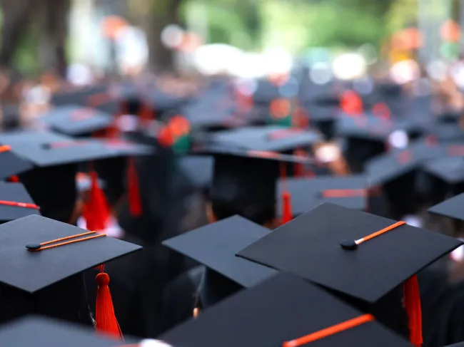 Higher Education